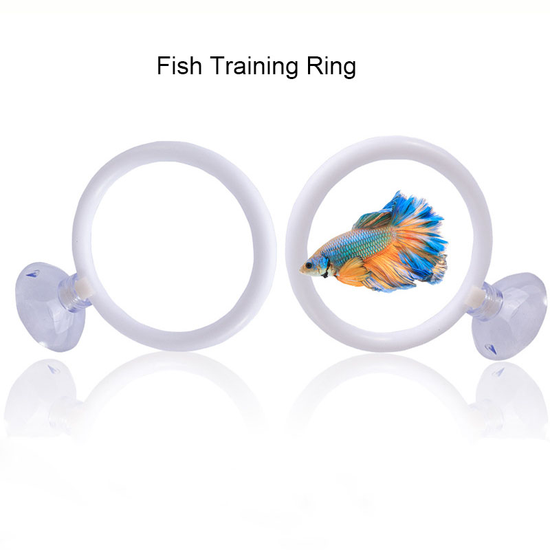 1pcs Plastic Fish Tank Aquariu - Gymnastic Ring recension och pris