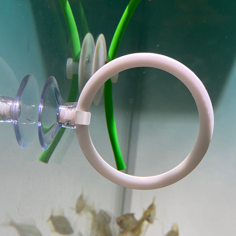 1pcs Plastic Fish Tank Aquariu - Gymnastic Ring recension och pris